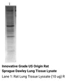 *Innovative Grade US Origin Rat Sprague Dawley Lung Tissue Lysate