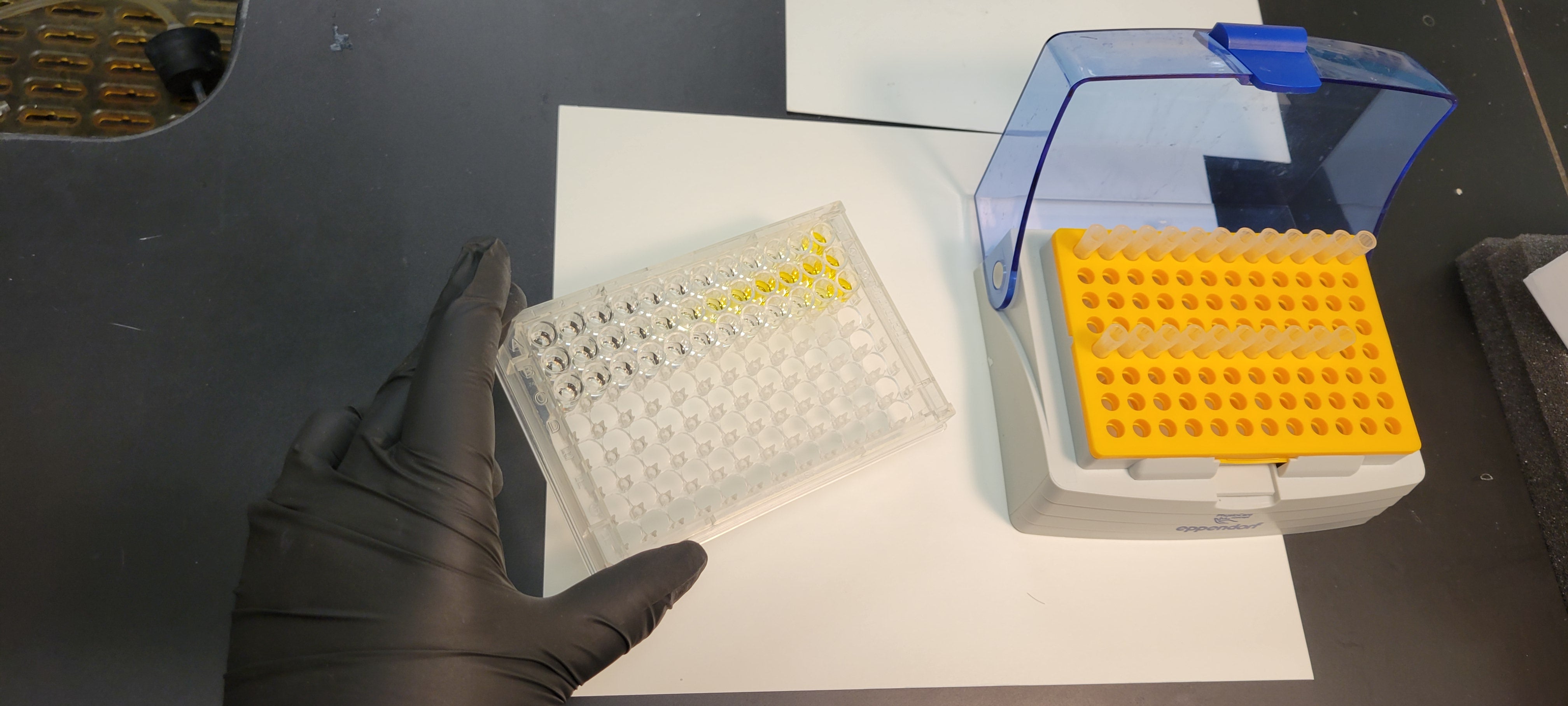 Synthetic Human Cerebrospinal Fluid (CSF) – Innovative Research