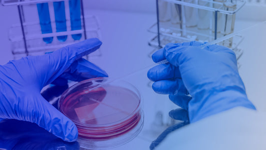 Preparing Your Lab for Cell Culture Workflows