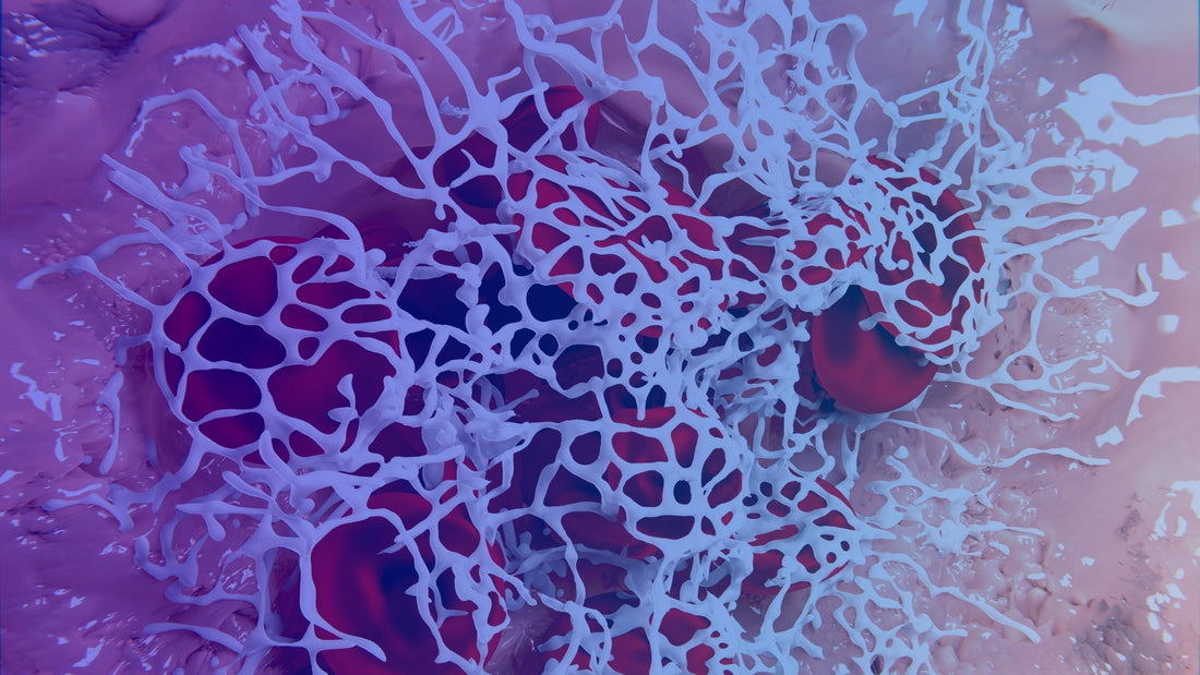 Fibrinogen: What it is and How it Functions in the Body