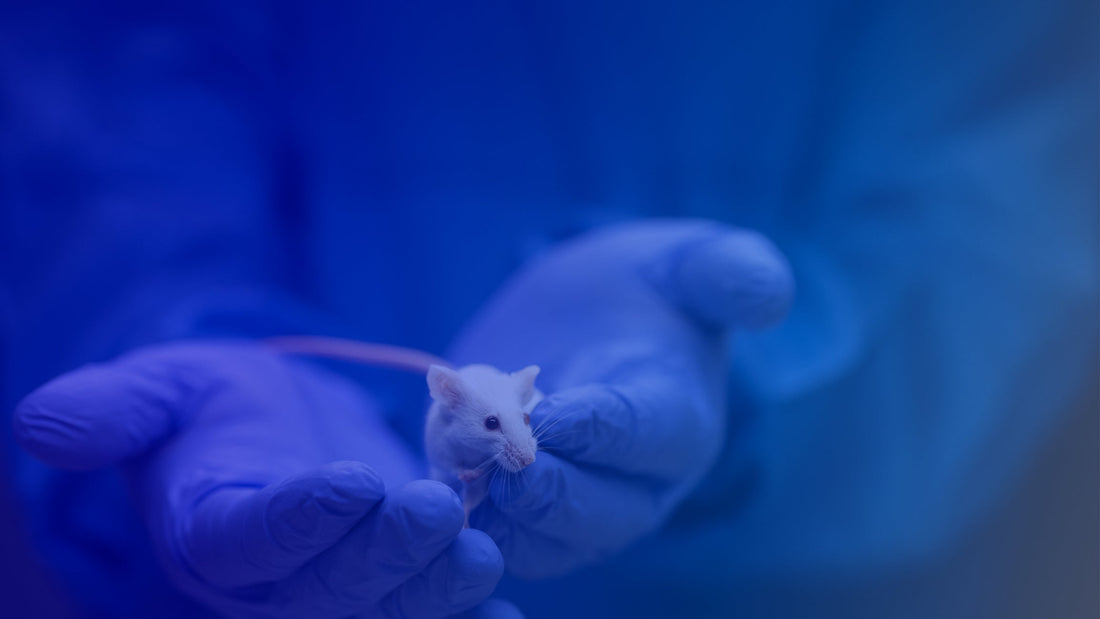 Single Donor Mouse Blood Products in Research