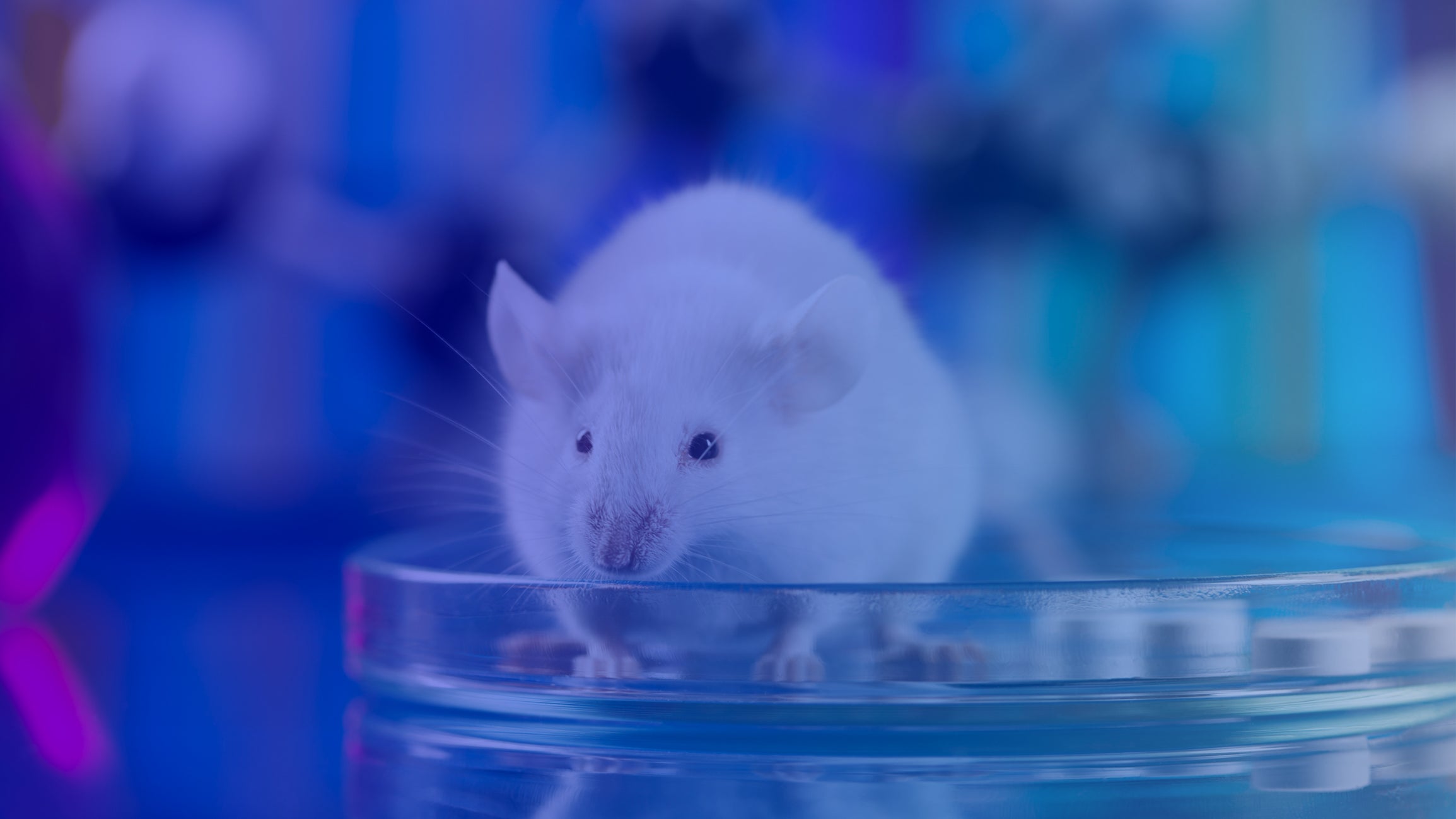 Common Animal Models Used in Biomedical Research – Innovative Research