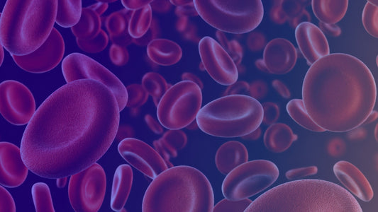 Applications for Human Red Blood Cells  in Research