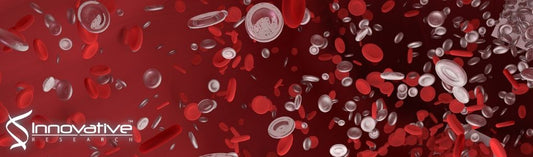 Zerumbone from Zingiber zerumbet inhibits innate and adaptive immune responses in Balb/C mice