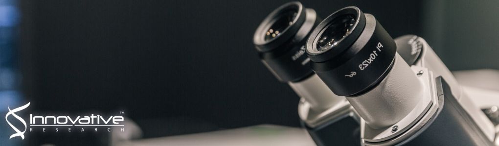 A novel high-performance liquid chromatographic method combined with fluorescence detection for determination of ertugliflozin in rat plasma: Assessment of pharmacokinetic drug interaction potential of ertugliflozin with mefenamic acid and ketoconazole