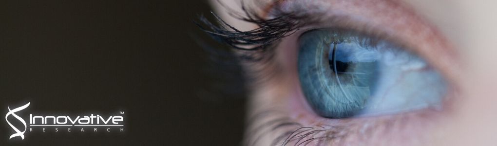 Suppression of Choroidal Neovascularization and Fibrosis by a Novel RNAi Therapeutic Agent against (Pro)renin Receptor