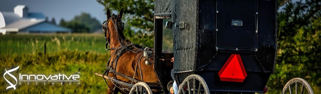 Mathematical model of thrombin generation and bleeding phenotype in Amish carriers of Factor IX:C deficiency vs. controls