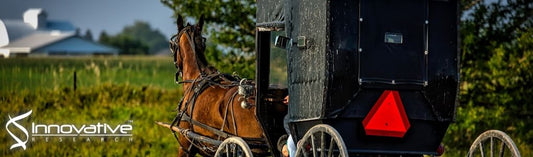Mathematical model of thrombin generation and bleeding phenotype in Amish carriers of Factor IX:C deficiency vs. controls