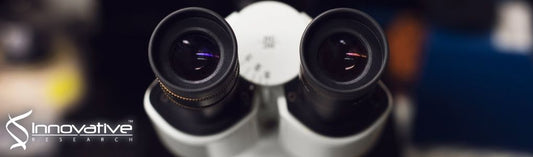 Direct Mass Spectrometry Analysis of Complex Mixtures by Nanoelectrospray with Simultaneous Atmospheric Pressure Chemical Ionization and Electrophoretic Separation Capabilities