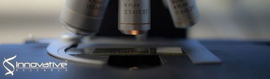 Synthesis of gold nanocluster-loaded lysozyme nanoparticles for label-free ratiometric fluorescent pH sensing: applications to enzyme–substrate systems and cellular imaging