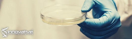 Streptococcus pyogenes Infection and the Human Proteome with a Special Focus on the Immunoglobulin G-cleaving Enzyme IdeS