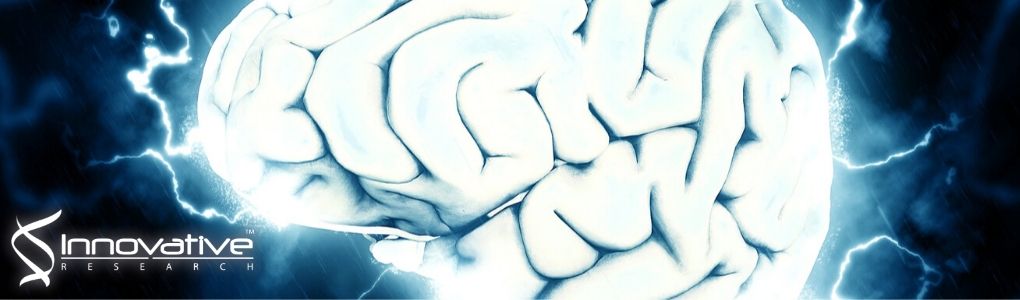 Associative Interactions among Zinc, Apolipoprotein E, and Amyloid-β in the Amyloid Pathology