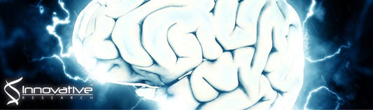 Associative Interactions among Zinc, Apolipoprotein E, and Amyloid-β in the Amyloid Pathology