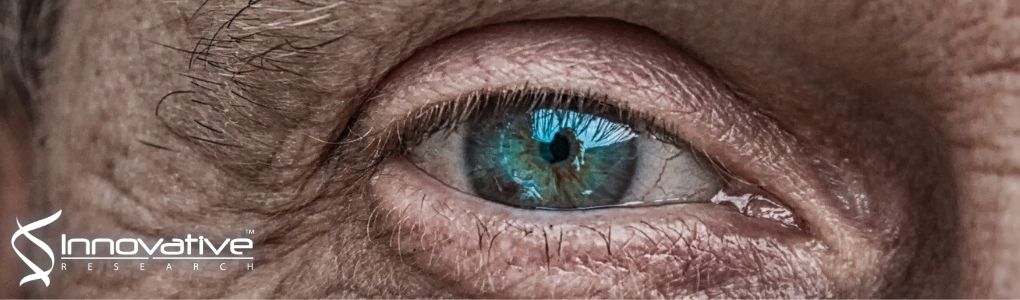 Evaluation of cryopreservation media for the preservation of human corneal stromal stem cells