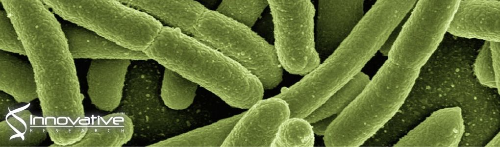 Mathematical modeling of the “inoculum effect”: six applicable models and the MIC advancement point concept