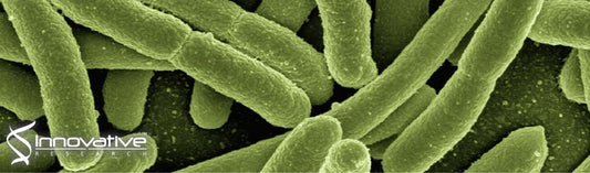 Mathematical modeling of the “inoculum effect”: six applicable models and the MIC advancement point concept