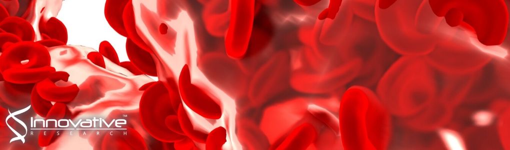 Lipid Nanoparticles For Delivery of Bioactive Molecules