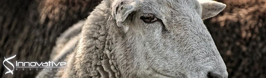 Dual Carbon Dioxide Capture to Achieve Highly Efficient Ultra-Low Blood Flow Extracorporeal Carbon Dioxide Removal