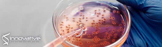 Salicylanilide Analog Minimizes Relapse of Clostridioides difficile Infection in Mice