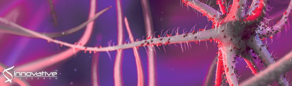 Rapid Detection of an Ebola Biomarker with Optical Microring Resonators