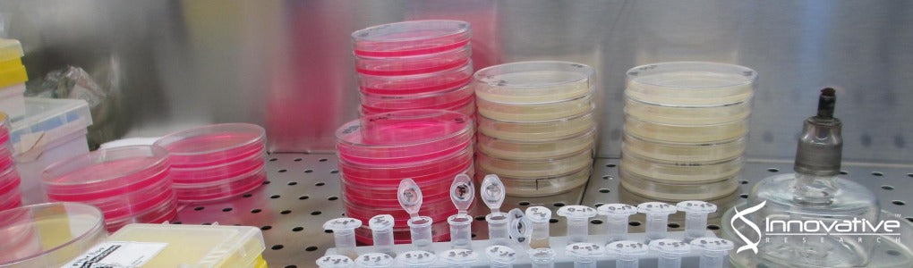 Development of a dual antigen lateral flow immunoassay for detecting Yersinia pestis