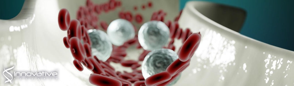 Regulation of Serine Proteases in Blood Clotting and Beyond