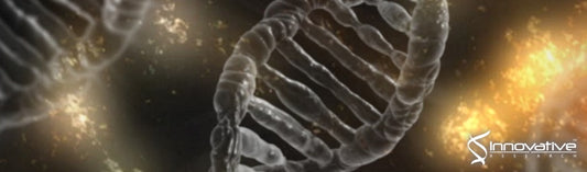 Pre-Clinical In-Vitro Studies on Parameters Governing Immune Complex Formation