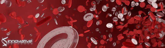 Plasminogen and Plasmin can Bind to Human T Cells and Generate Truncated CCL21 that Increases Dendritic Cell Chemotactic Responses