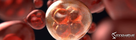 Biomarkers in Cancer Patients at Risk for Venous Thromboembolism: Data from the AVERT Study