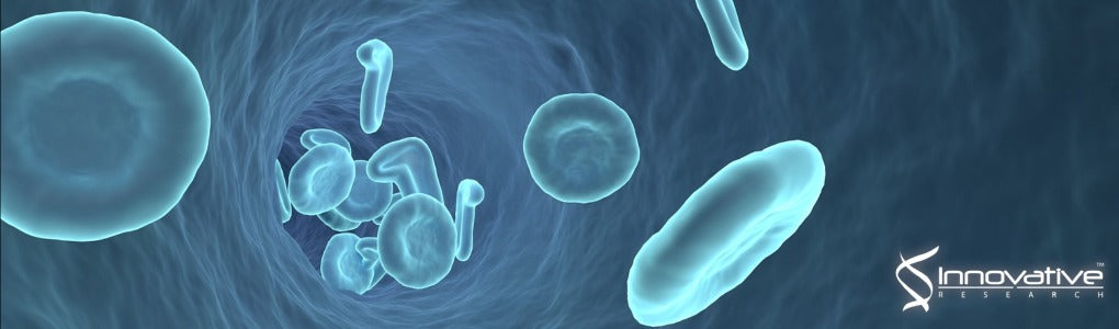 Effect of Photo-Mediated Ultrasound Therapy on Nitric Oxide and Prostacyclin from Endothelial Cells