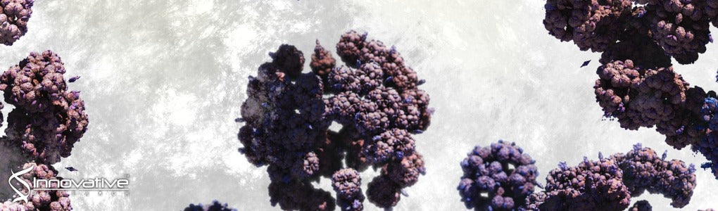 Rational Design of Suprastat: A Novel Selective Histone Deacetylase 6 Inhibitor with the Ability to Potentiate Immunotherapy in Melanoma Models