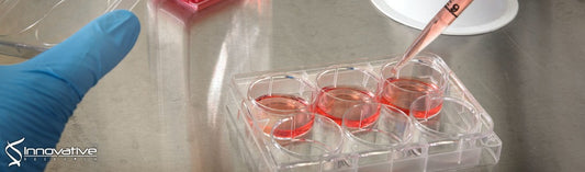 Photoreactive Carboxybetaine Copolymers Impart Biocompatibility and Inhibit Plasticizer Leaching on Polyvinyl Chloride