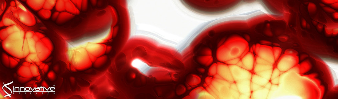 Cardiac and Lung Endothelial Cells in Response to Fluid Shear Stress on Physiological Matrix Stiffness and Composition