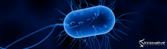 Supramolecular Assembly of Toll-like Receptor 7/8 Agonist into Multimeric Water-Soluble Constructs Enables Superior Immune Stimulation In Vitro and In Vivo