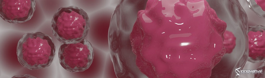 Sensitive and Rapid UHPLC–MS/MS Assay for Simultaneous Quantifications of Calcipotriol and Paclitaxel in Rat Whole Blood and Plasma Samples