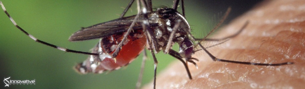 Enhancement of Infectivity of Insect Cell-Derived La Crosse Virus by Human Serum