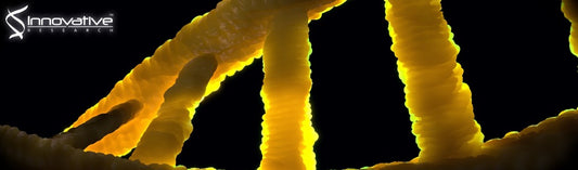Nucleic Acid Sample Preparation Using Magnetic Ionic Liquids as Cell Lysis and DNA Extraction Solvents