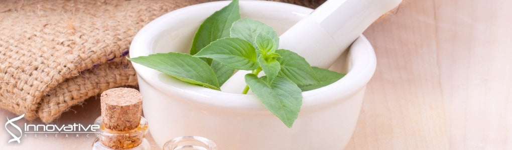 Schisandrol A Exhibits Estrogenic Activity via Estrogen Receptor α-Dependent Signaling Pathway in Estrogen Receptor-Positive Breast Cancer Cells