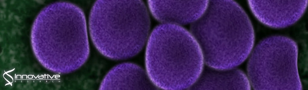 Development of Diagnostic Immunoassays for Tularemia and Leptospirosis