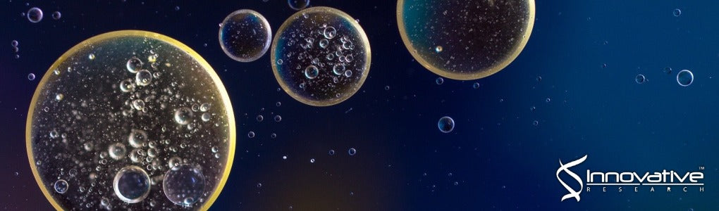 Effects of Different Separation Methods on the Physical and Functional Properties of Extracellular Vesicles