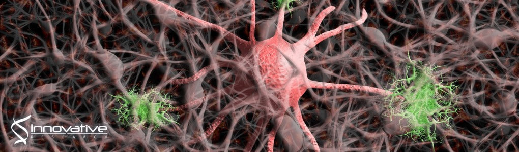 Cytoprotective IgG Antibodies in Sera from a Subset of Patients with AQP4‑IgG Seropositive Neuromyelitis Optica Spectrum Disorder