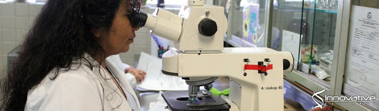 Platelet-Primed Interactions of Coagulation and Anticoagulation Pathways in Flow-Dependent Thrombus Formation