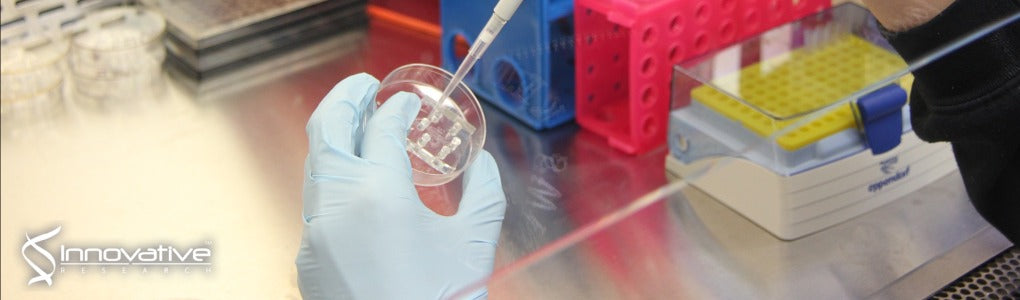 Oligo(Lactic Acid)8-Docetaxel Prodrug-Loaded PEG-b-PLA Micelles for Prostate Cancer