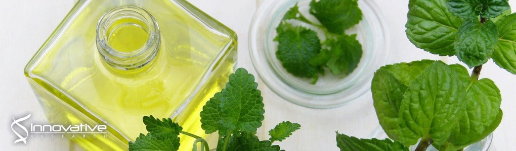 Anesthetic Pharmacology of the Mint Extracts L-Carvone and Methyl Salicylate