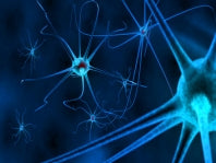 New Model of MS May Lead to Better Therapeutic Options