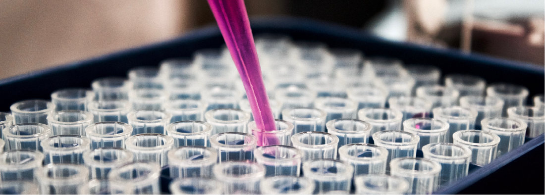 Cynomolgus Monkey Products from Innovative Research