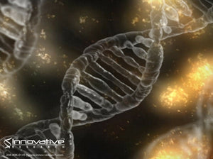 DNA Transcription: New Research Offers New Insight