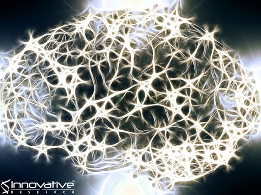 Reversing Alzheimer's disease may be possible, according to new mouse study