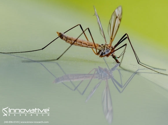 One Step Closer to an effective, long-term Malaria Vaccine?