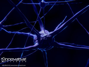 Multiple Sclerosis and the Myelin Sheaths Protecting Nerve Fibers